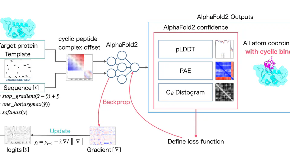 AlphaFold2 for Cyclic Peptide Design - A Deep-dive into Generative Drug Design (1/2)