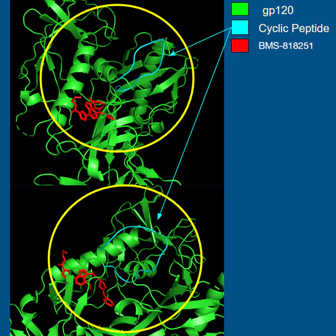 Precision Design of Cyclic Peptides using AlphaFold