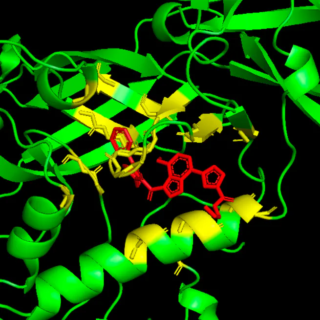 Precision Design of Cyclic Peptides using AlphaFold