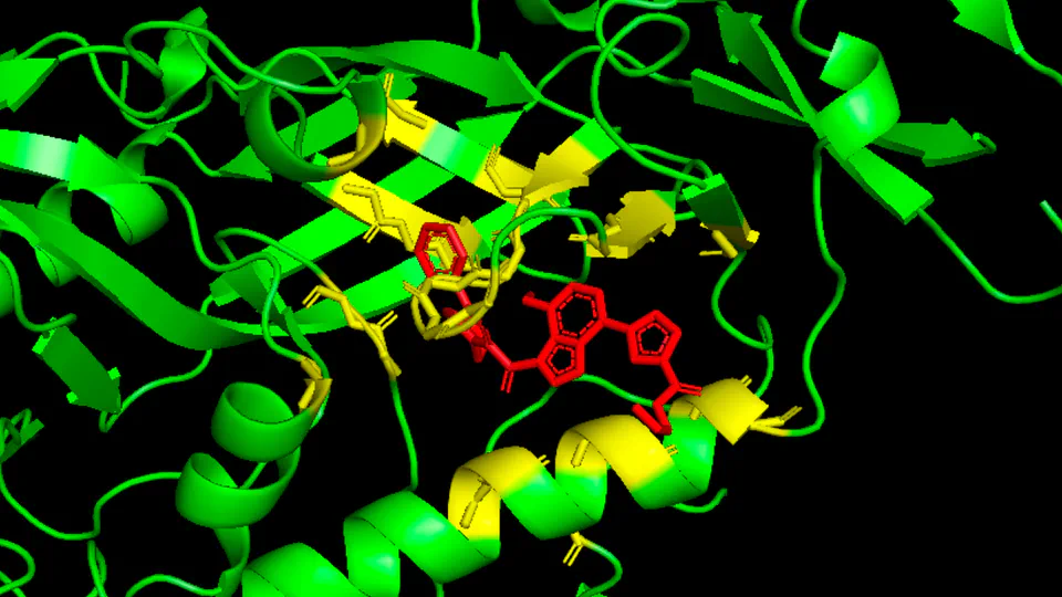 Precision Design of Cyclic Peptides using AlphaFold